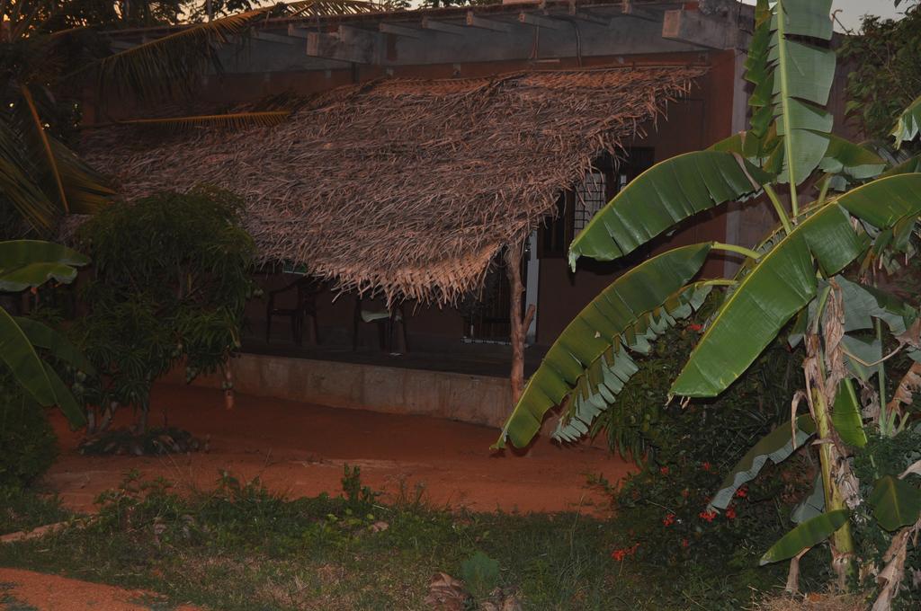 Wadiya Tourist Guest House Dambulla Ngoại thất bức ảnh